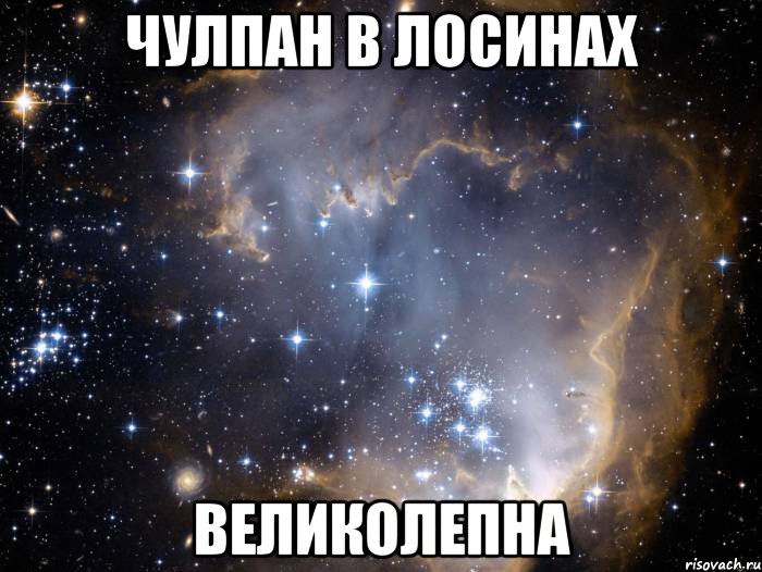 Чулпан в лосинах Великолепна, Мем Девушки в леггинсах ахуенны