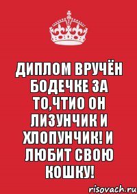 Диплом вручён Бодечке за то,чтио он лизунчик и хлопунчик! И любит свою кошку!, Комикс Keep Calm 3