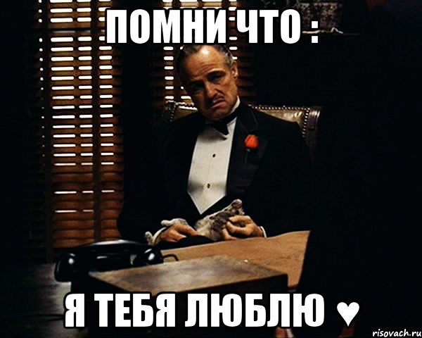 Помни что : Я Тебя Люблю ♥, Мем Дон Вито Корлеоне
