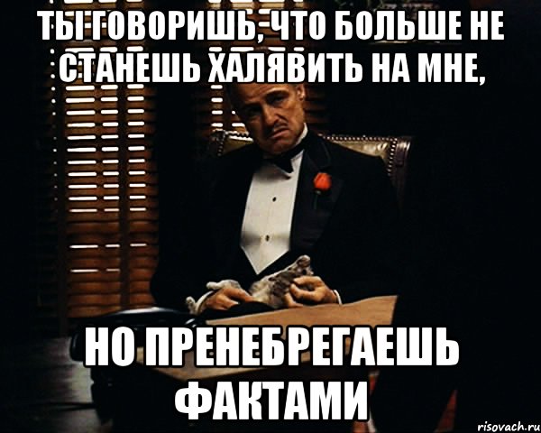 ты говоришь, что больше не станешь халявить на мне, но пренебрегаешь фактами, Мем Дон Вито Корлеоне