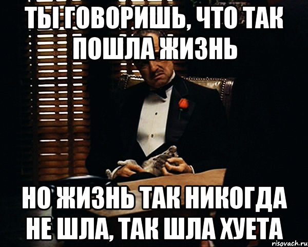 ты говоришь, что так пошла жизнь но жизнь так никогда не шла, так шла хуета, Мем Дон Вито Корлеоне