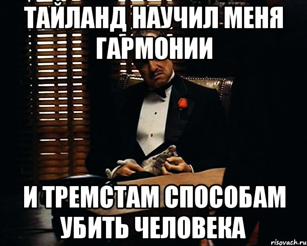 Тайланд научил меня гармонии и тремстам способам убить человека, Мем Дон Вито Корлеоне