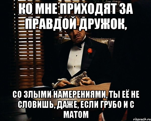 ко мне приходят за правдой дружок, со злыми намерениями, ты её не словишь, даже, если грубо и с матом, Мем Дон Вито Корлеоне