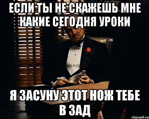 если ты не скажешь мне какие сегодня уроки я засуну этот нож тебе в зад, Мем Дон Вито Корлеоне