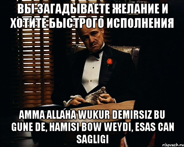 Вы загадываете желание и хотите быстрого исполнения Amma Allaha wukur demirsiz bu gune de, hamisi bow weydi, esas can sagligi, Мем Дон Вито Корлеоне