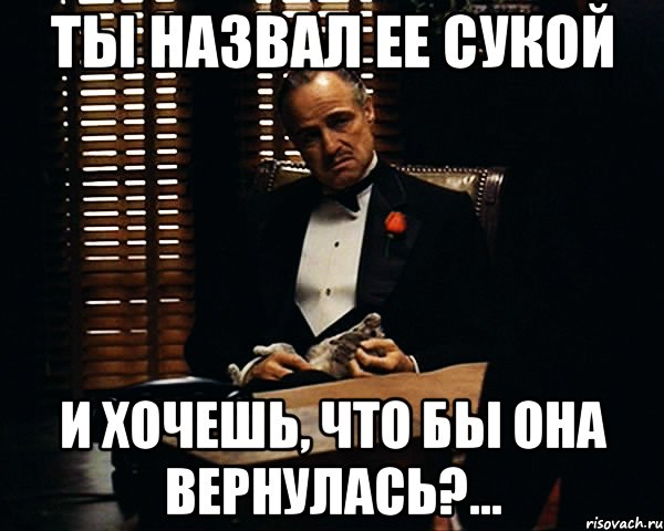 ТЫ НАЗВАЛ ЕЕ СУКОЙ И ХОЧЕШЬ, ЧТО БЫ ОНА ВЕРНУЛАСЬ?..., Мем Дон Вито Корлеоне