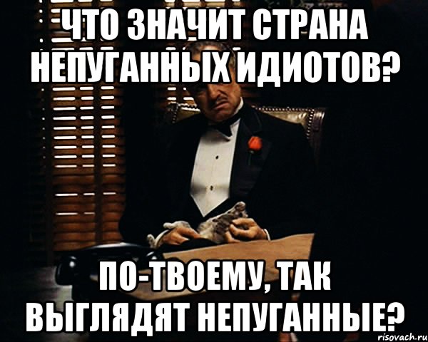 что значит страна непуганных идиотов? по-твоему, так выглядят непуганные?, Мем Дон Вито Корлеоне