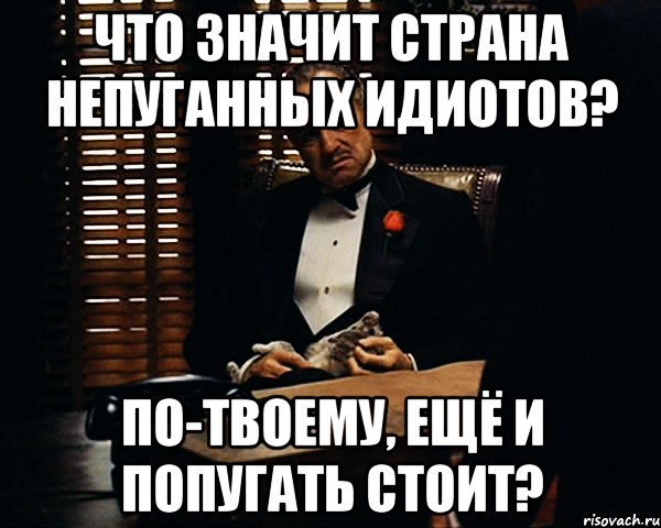 что значит страна непуганных идиотов? по-твоему, ещё и попугать стоит?, Мем Дон Вито Корлеоне