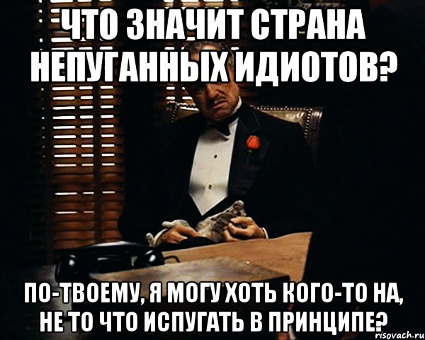 что значит страна непуганных идиотов? по-твоему, я могу хоть кого-то на, не то что испугать в принципе?, Мем Дон Вито Корлеоне