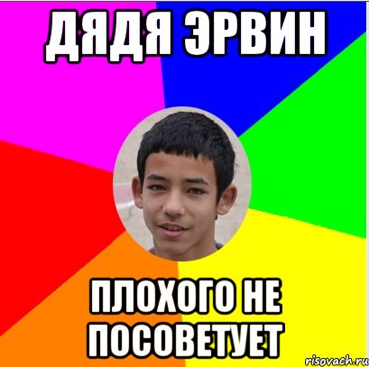 дядя Эрвин плохого не посоветует