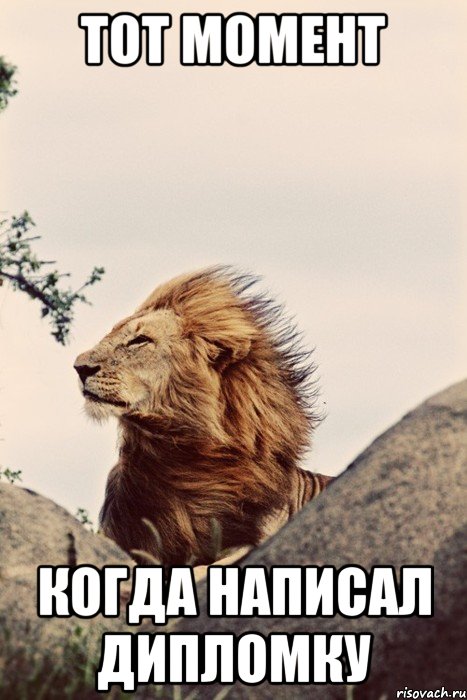 тот момент когда написал дипломку