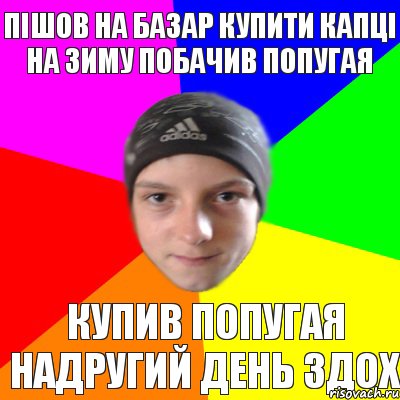 Пішов на базар купити капці на зиму побачив попугая купив попугая надругий день здох, Комикс Едк