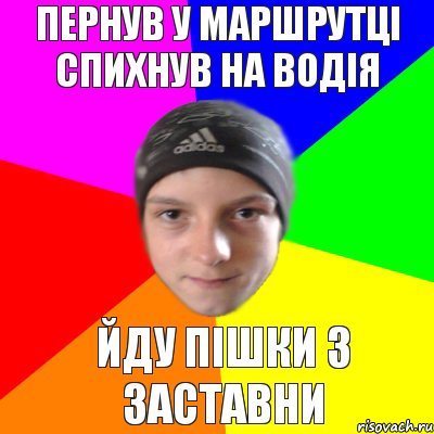 ПЕРНУВ У МАРШРУТЦІ СПИХНУВ НА ВОДІЯ ЙДУ ПІШКИ З ЗАСТАВНИ, Комикс Едк