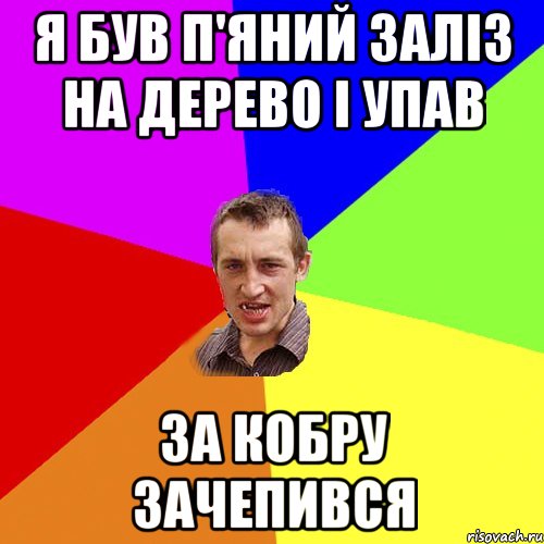 я був п'яний заліз на дерево і упав за кобру зачепився, Мем Чоткий паца