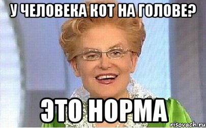 у человека кот на голове? это норма, Мем Это норма