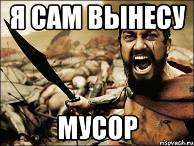 я сам вынесу мусор, Мем Это Спарта