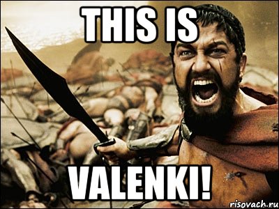 THIS IS VALENKI!, Мем Это Спарта