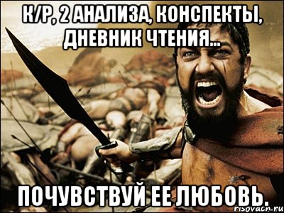 к/р, 2 анализа, конспекты, дневник чтения... почувствуй ее любовь., Мем Это Спарта