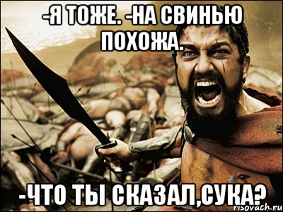 -Я тоже. -На свинью похожа. -Что ты сказал,сука?, Мем Это Спарта