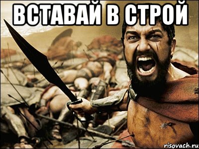 ВСТАВАЙ В СТРОЙ , Мем Это Спарта