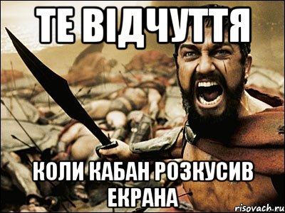 Те відчуття Коли кабан розкусив екрана, Мем Это Спарта