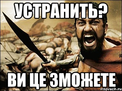 УСТРАНИТЬ? ВИ ЦЕ ЗМОЖЕТЕ, Мем Это Спарта