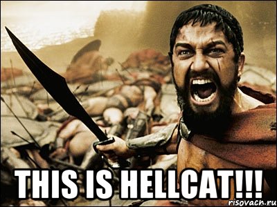  This is Hellcat!!!, Мем Это Спарта