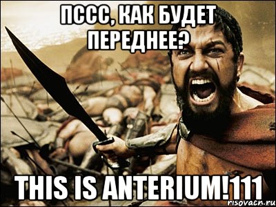 пссс, как будет переднее? THIS IS ANTERIUM!111, Мем Это Спарта