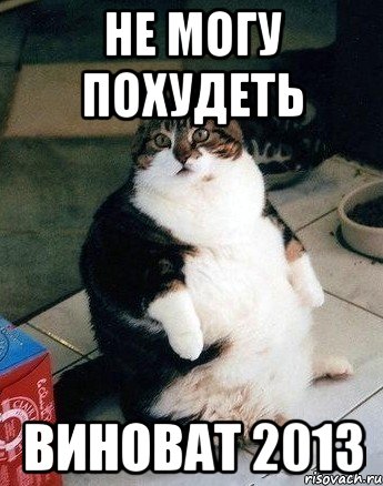 не могу похудеть виноват 2013