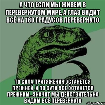 А что если мы живем в перевернутом мире, а глаз видит всё на 180 градусов перевернуто То сила притяжения останется прежней, и по сути все останется прежним...значит мы действительно видим всё перевернуто, Мем Филосораптор