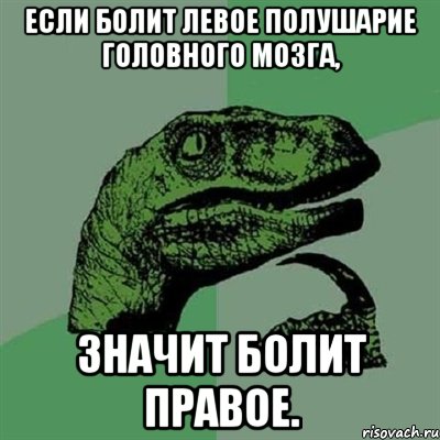 Если болит левое полушарие головного мозга, Значит болит правое., Мем Филосораптор