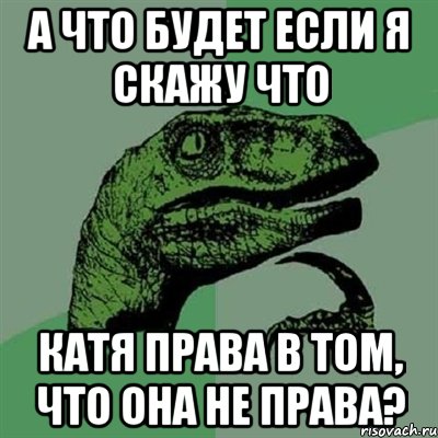 А что будет если я скажу что Катя права в том, что она не права?, Мем Филосораптор