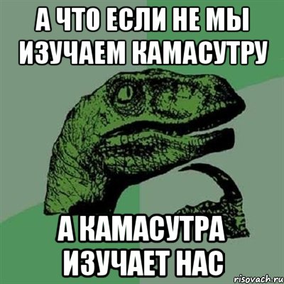 а что если не мы изучаем камасутру а камасутра изучает нас, Мем Филосораптор