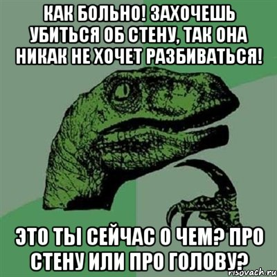 как больно! захочешь убиться об стену, так она никак не хочет разбиваться! это ты сейчас о чем? про стену или про голову?, Мем Филосораптор