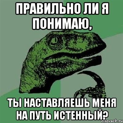 правильно ли я понимаю, ты наставляешь меня на путь истенный?, Мем Филосораптор