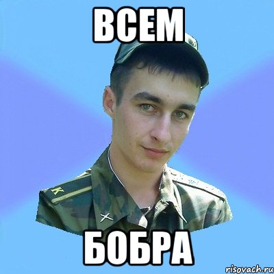 Всем Бобра