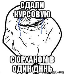 сдали курсовую С Орханом в один дннь