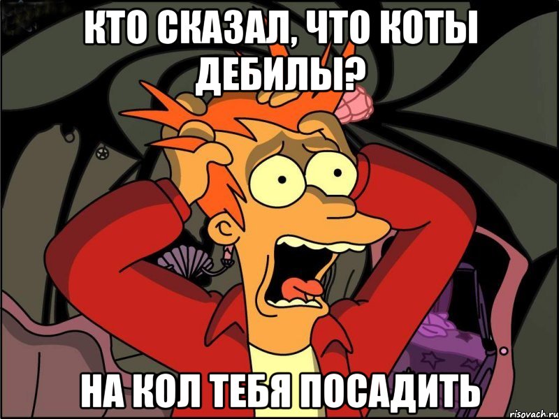 Кто сказал, что коты дебилы? На кол тебя посадить, Мем Фрай в панике