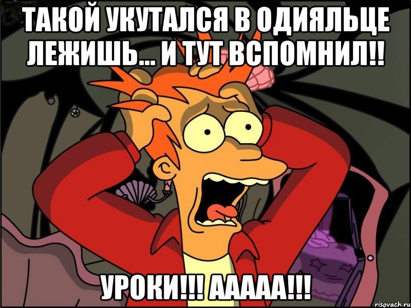 Такой укутался в одияльце лежишь... И тут вспомнил!! Уроки!!! ААААА!!!, Мем Фрай в панике