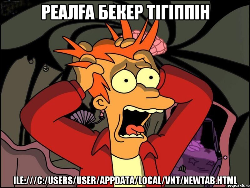 Реалға бекер тігіппін ile:///C:/Users/User/AppData/Local/VNT/newtab.html, Мем Фрай в панике