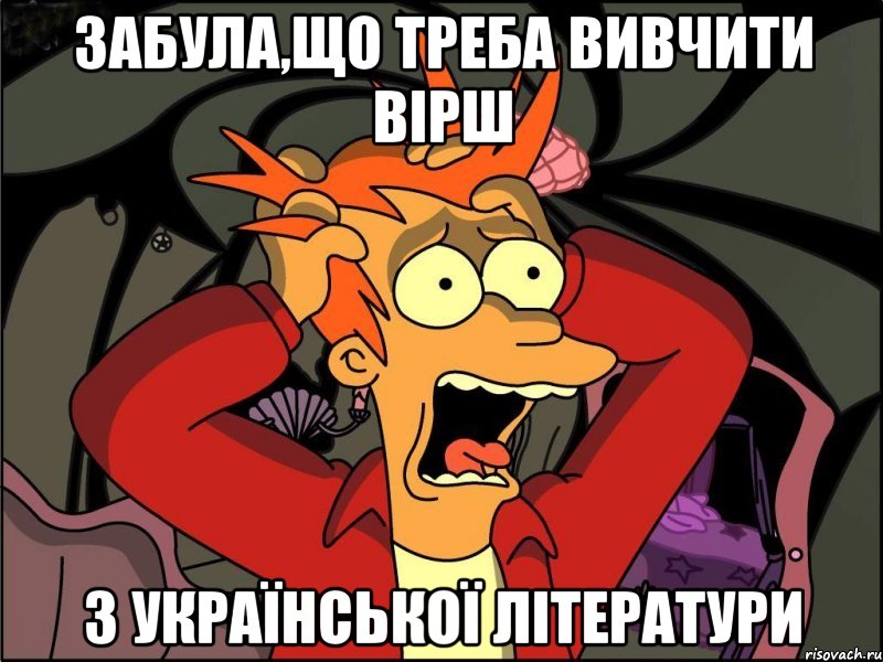 забула,що треба вивчити вірш з української літератури, Мем Фрай в панике