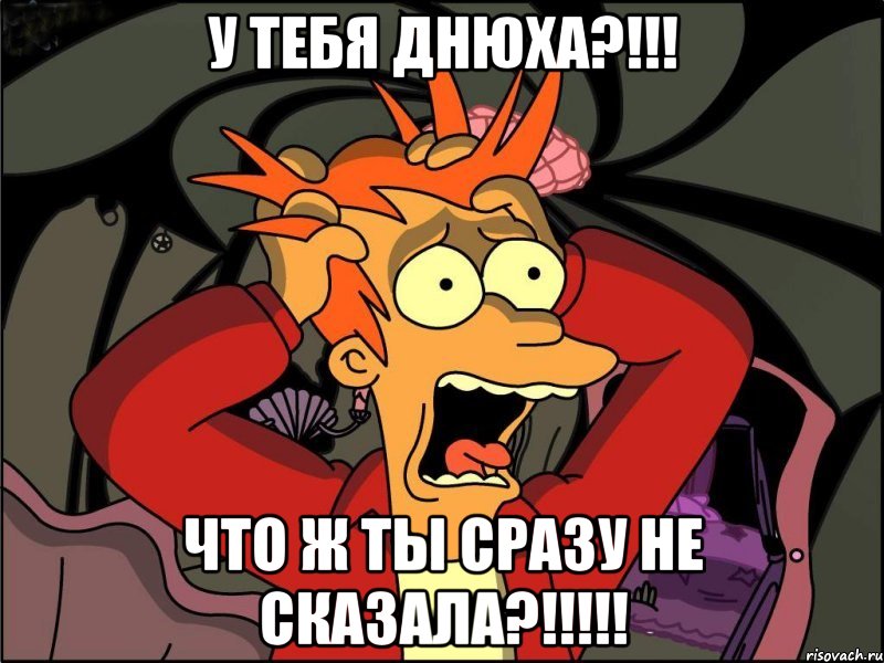 У тебя ДНЮХА?!!! ЧТО Ж ТЫ СРАЗУ НЕ СКАЗАЛА?!!!!!, Мем Фрай в панике