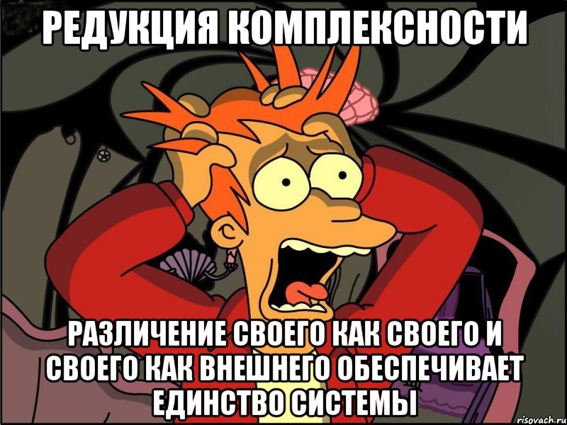 Редукция комплексности различение своего как своего и своего как внешнего обеспечивает единство системы, Мем Фрай в панике