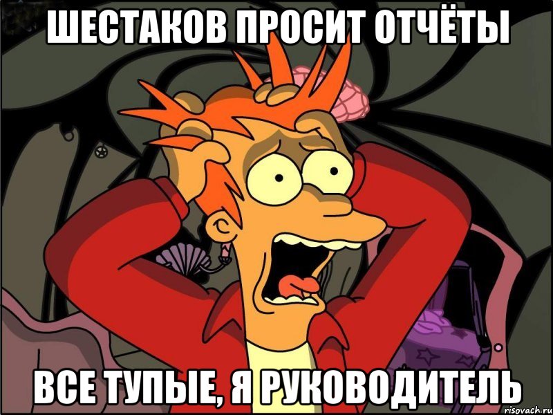 Шестаков просит отчёты все тупые, я руководитель, Мем Фрай в панике