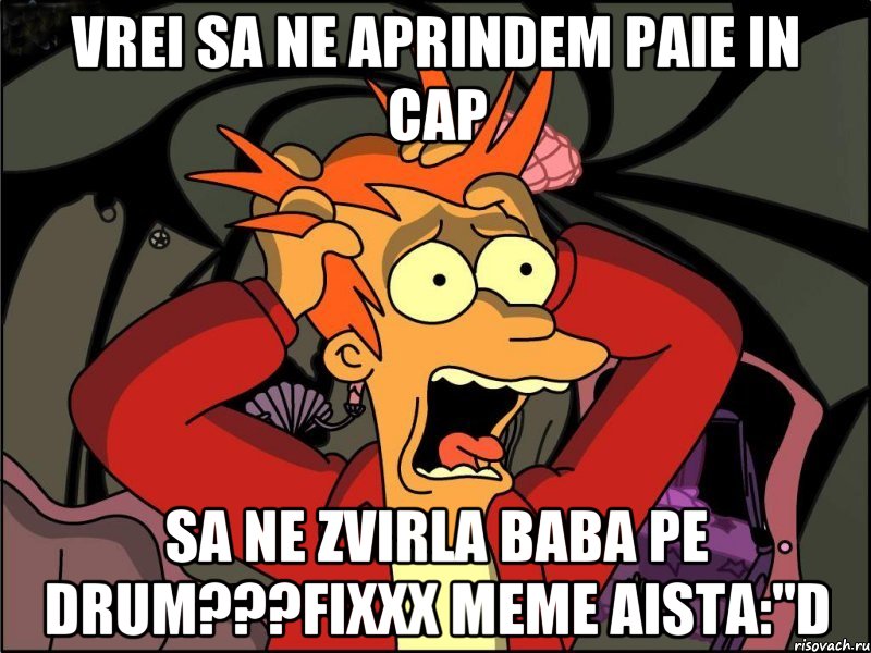 Vrei sa ne aprindem paie in cap sa ne zvirla baba pe drum???Fixxx meme aista:"D, Мем Фрай в панике