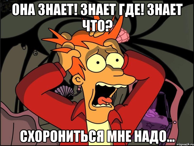 Она Знает! Знает Где! Знает Что? Схорониться мне надо..., Мем Фрай в панике