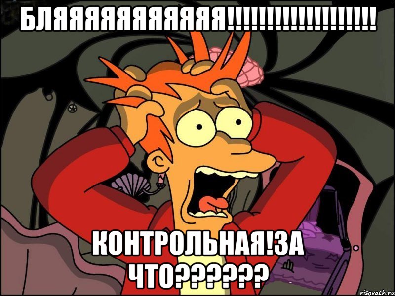 бляяяяяяяяяяя!!!!!!!!!!!!!!!!!!! контрольная!за что??????, Мем Фрай в панике