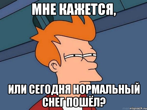 мне кажется, или сегодня нормальный снег пошёл?, Мем  Фрай (мне кажется или)