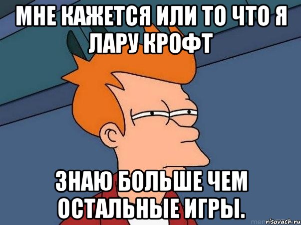 Мне кажется или то что я Лару Крофт знаю больше чем остальные игры., Мем  Фрай (мне кажется или)