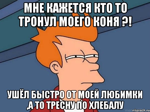 Мне кажется кто то тронул моего коня ?! Ушёл быстро от моей любимки ,а то тресну по хлебалу, Мем  Фрай (мне кажется или)